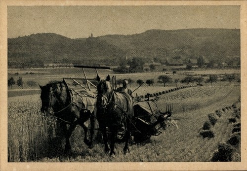 Landwirtschaft erntezeit - ak,