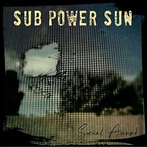 Social animal sub - animal, power