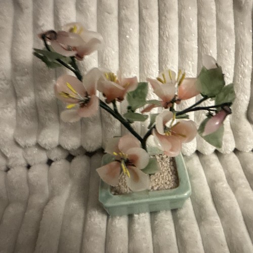 Glas blume topf pflanze - topf,