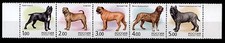 Cane corso shar pei mastino - shar-pei,,