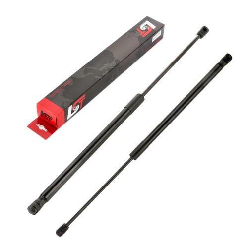 Gasfeder - 2x,