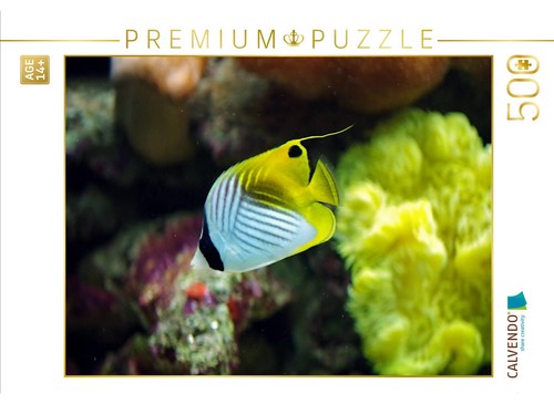 Calvendo puzzle ein motiv aus - calvendo,