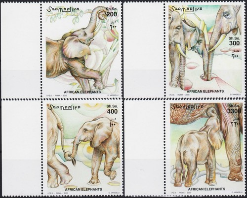Somalia 2000 african - 2000,