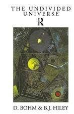 The Undivided Universe: An