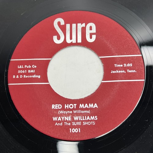 Wayne williams and the sure - wayne,