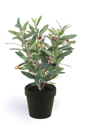 Künstlicher olivenbaum - künstlicher,