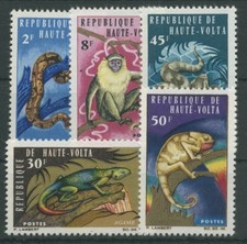 Obervolta 1966 Tiere Schlangen