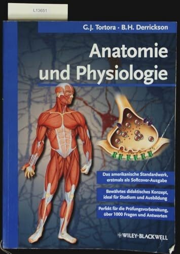 Anatomie und physiologie buch - physiologie,