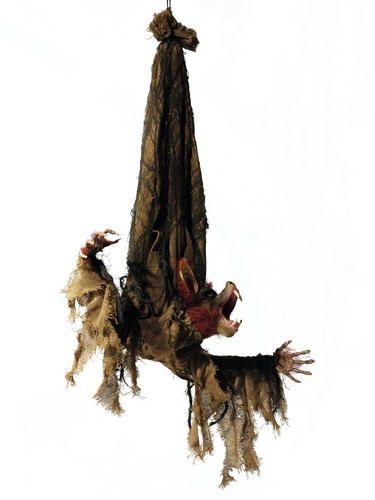 Animierte fledermaus 95cm - fledermaus,