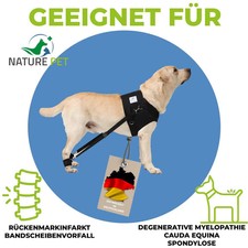 Trainingsgeschirr für kranke Hunde / Rehageschirr für Hunde / Muskelaufbau Hund