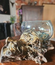 Wurzelholz Obstschale Glasvase Schale Gamalholz  Mount Everest Collection-004