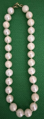 Akoya perlen armband - akoya-perlen,