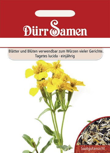 Würz tagetes lucida - tagetes,