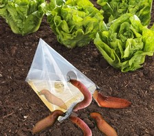 WENKO Einweg-Schneckenfalle 