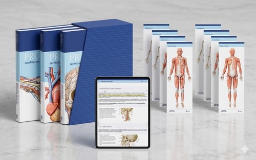 Thieme prometheus lernpaket - prometheus,