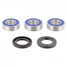 Radlager Satz hinten kpl. mit