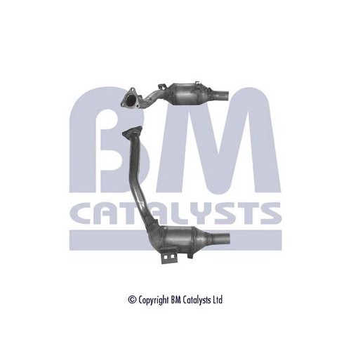 Catalysts abgaskatalysator - bm,