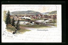 Lithographie Immendingen, Gesamtansicht 1903 