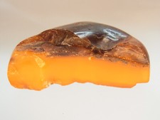 Schöner groß. Butterscotch