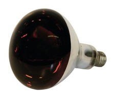 Kerbl Infrarotlampe 250 W Hartglas, rot Wärmelampe für Ferkel / Küken Rotlicht