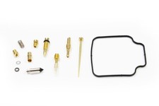 Vergaser Reparatur Satz