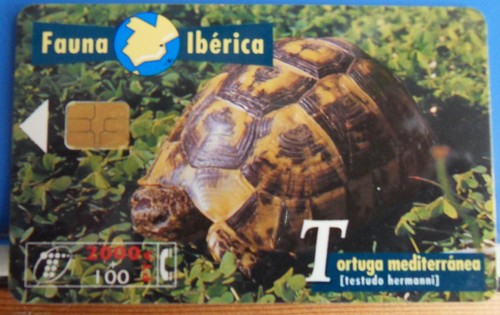 Telefonkarte spanien fauna - telefonkarte,