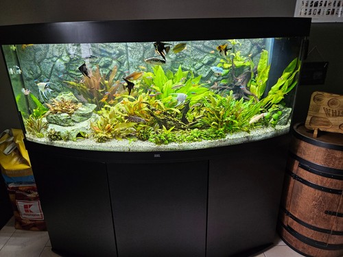 Juwel vision 450 ltr aquarium - juwel,