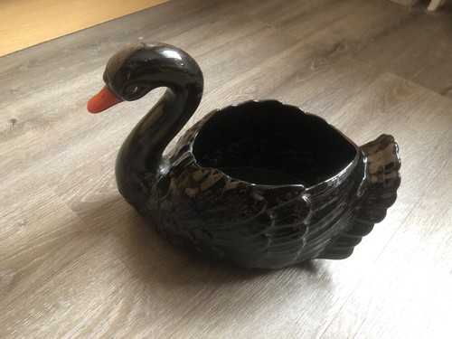 Riesiger schwan schwarz tolle - riesiger,