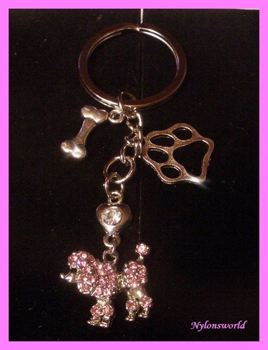 Luxus strass pudel hund - luxus,