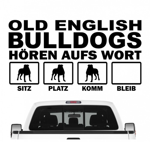 Old english bulldog - old,