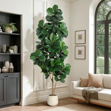 Kunstpflanze ficus weiß - ficus,
