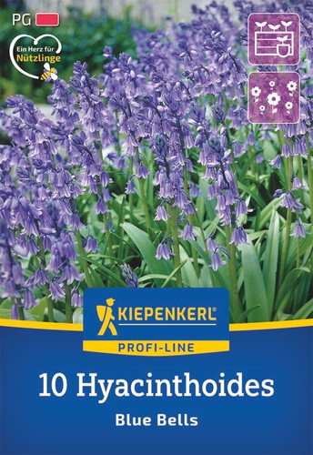 Kiepenkerl hasenglöckchen - kiepenkerl,
