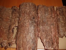 Baumrinde, 1 kg, große