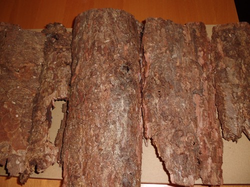 Baumrinde große - baumrinde,, 1