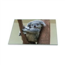 Herdabdeckplatte Ceran 1