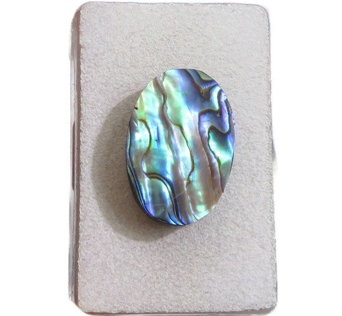 Paua muschel abalone - paua, cabochon