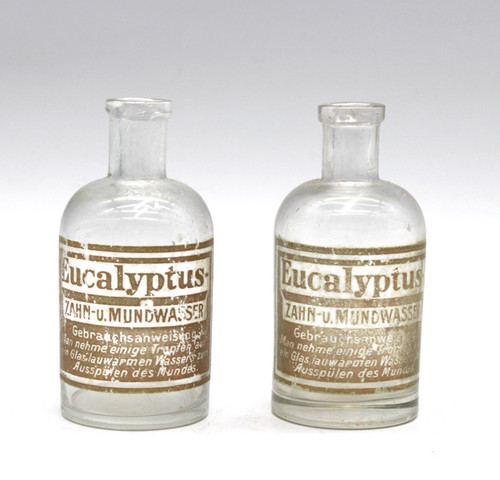 Eucalyptus alte - eucalyptus,