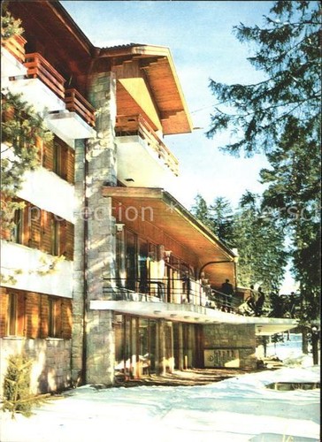 Borovetz hotel edelweiss - hotel,
