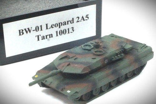 160 10013 panzer bw - 1:160, dm