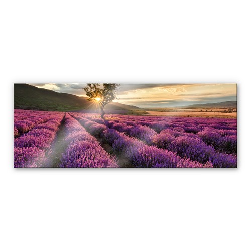 Acrylglasbild lavendelblüte - acrylglasbild,