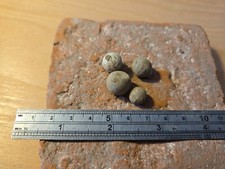 Englischer Bürgerkrieg Blei