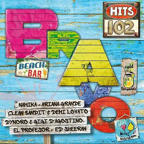 Various bravo hits vol - various,