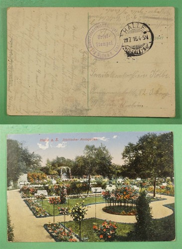 Who 1916 germany - dr,
