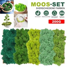 200g Künstliches Moos – Deko Moos, Bastelmoos, Kunstmoos zum Dekorieren Basteln