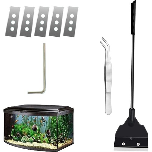 Aquariumschaber,Aquarien