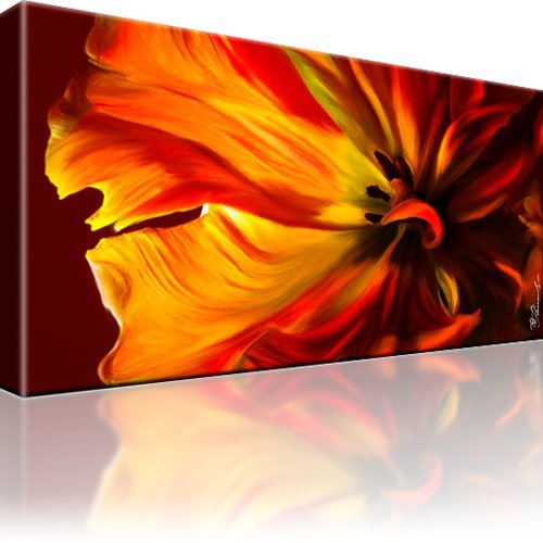 Tulpe blume natur bild bilder - tulpe,