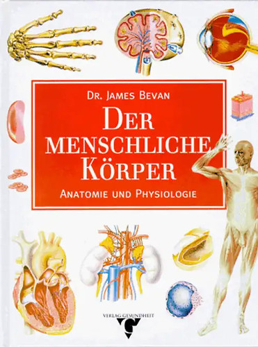 Der menschliche körper - der,