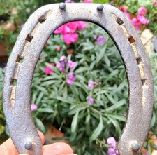 Glücksbringer :    echtes