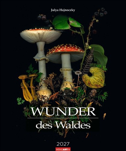 Wunder des waldes 2027 - waldes,
