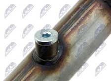 Original NTY Katalysator